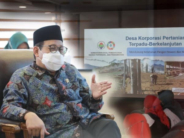 Indeks Ketahanan Pangan Turun, Kemendes PDTT Gagas Program Desa Peternakan Terpadu 