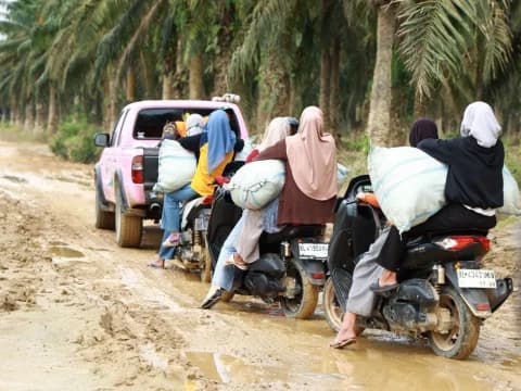 Akademisi Nilai Inovasi Hijau Jadi Solusi Penanggulangan Bencana Ekologis di Sumatra