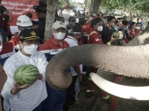 Program Konservasi Gajah Binaan Pertamina Hulu Rokan Diapresiasi Menteri Keuangan