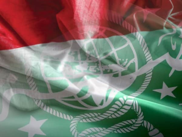 Cinta Tanah Air Tumbuh dari Perbedaan: Belajar dari Ulama