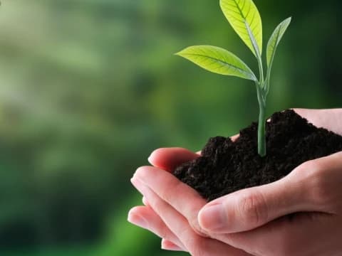 Khutbah Jumat: Jangan Rusak Alam, Ingat Pertanggungjawaban di Akhirat