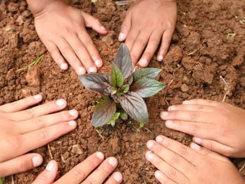 Khutbah Jumat: Meneladan Gaya Hidup Hijau ala Nabi Muhammad