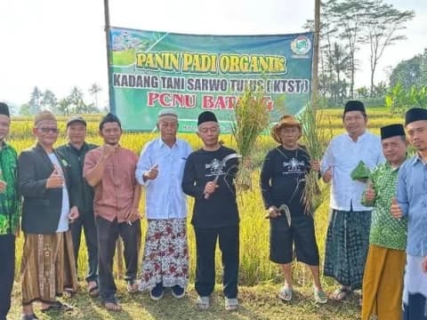 Petani di Bawah Binaan PCNU Batang Berhasil Panen Padi Organik, Pertanian Sehat dan Bebas Kimia Berhasil