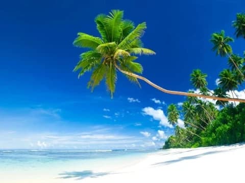 Pilih Gunung atau Pantai? Ini Kata Psikolog Soal Kepribadian Pengaruhi Pilihan Wisata