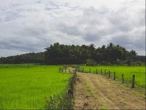 Anjuran Redistribusi Tanah dalam Ajaran Islam