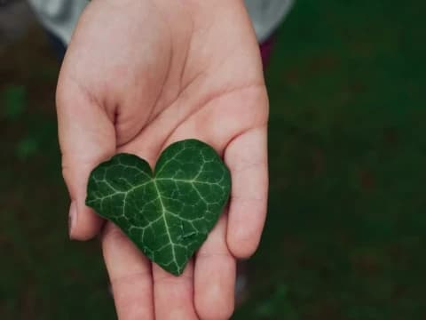 Khutbah Idul Fitri 1446 H: Ramadhan Membentuk Pribadi Berkarakter, Disiplin, dan Peduli Lingkungan 