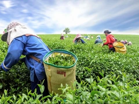 Konsep Dasar Pembukaan Lahan Baru dalam Islam