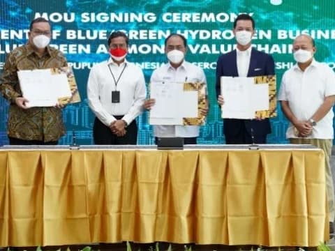 Pertamina Kembangkan Bisnis Blue/Green Hydrogen dan Ammonia
