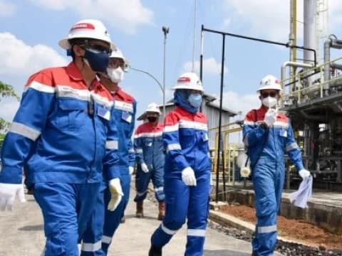 Sejumlah Lembaga Internasional Akui Implementasi ESG Pertamina