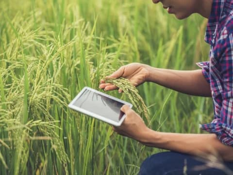 Kelangkaan Sumber Pangan dalam Kacamata Syariah