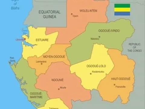 Dikudeta Militer, Ini Profil Gabon Negara yang Memiliki Hari Kemerdekaan Sama dengan RI
