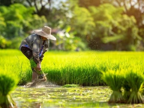 Hadits Seputar Keutamaan Menanam Pohon