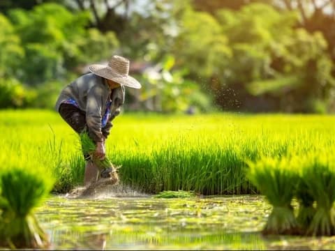 Redistribusi Lahan dalam Sejarah Islam