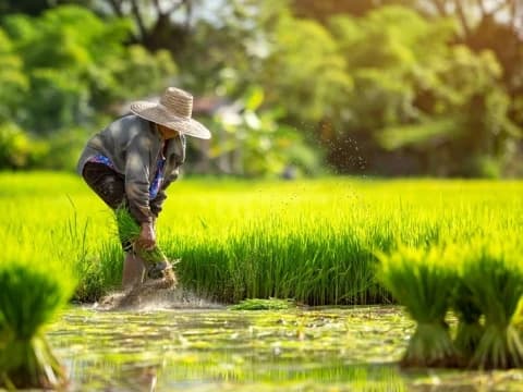 Percakapan Nabi Sulaiman dan Tanaman, Ekologi Spiritual di Masa Kenabian