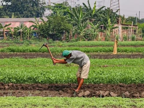 Konflik Agraria Jadi Aduan Tertinggi Pelanggaran HAM Sepanjang 2025