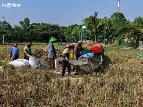 Konflik Agraria Terus Ada, Kerugian Selalu di Pihak Petani