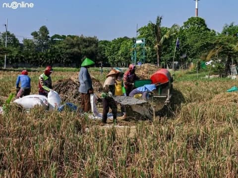 INDEF Sebut Klaim Keberhasilan Sektor Pangan 2025 Lebih karena Faktor Iklim, Bukan Kebijakan