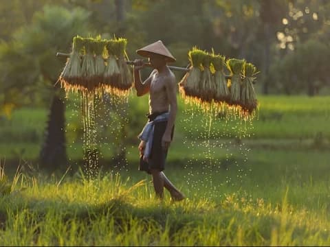 Bertani sebagai Ibadah Sosial dan Jihad Ekologis