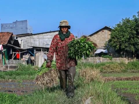 Hari Tani 2025, KPA Nilai Penyelenggara Negara Gagal Tunaikan Kewajiban kepada Petani hingga Masyarakat Adat