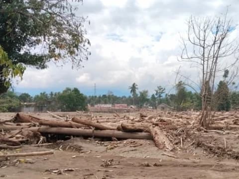 Aktivis Lingkungan: Kepentingan Korporasi Perparah Kerusakan Hutan di Sumatra