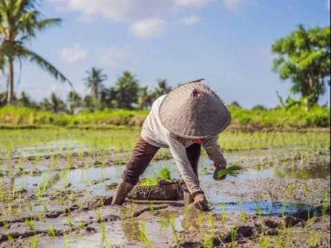 Ini 3 Pekerjaan dengan Derajat Utama dalam Islam