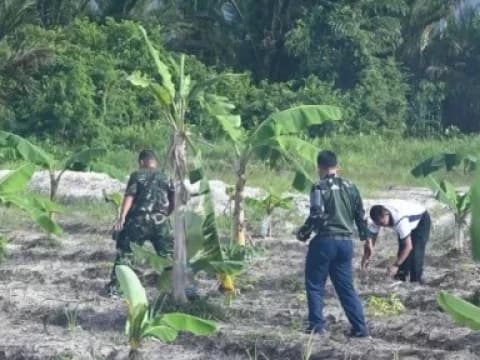 Militerisasi Pangan Dinilai Ancam Petani, Perlu Reformasi Agraria dan Kebijakan Inklusif
