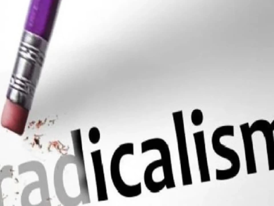 Social media becomes an incubator for radicalism among millennials, expert says