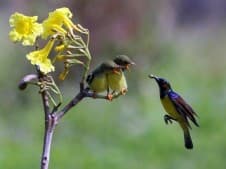 Khutbah Jumat: Rezekimu Telah Dijamin dan Tak Akan Tertukar