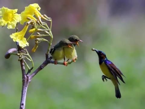 Khutbah Jumat: Jangan Berputus Asa, Rezeki Banyak Macamnya!