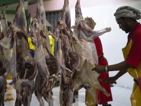 Amankah Ibu Hamil dan Menyusui Makan Daging Kambing? Ini Penjelasan Ahli Gizi