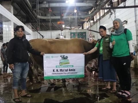 LAZISNU Potong Sapi Kurban Wapres Ma'ruf Amin dan 15 Kambing dari BPKH