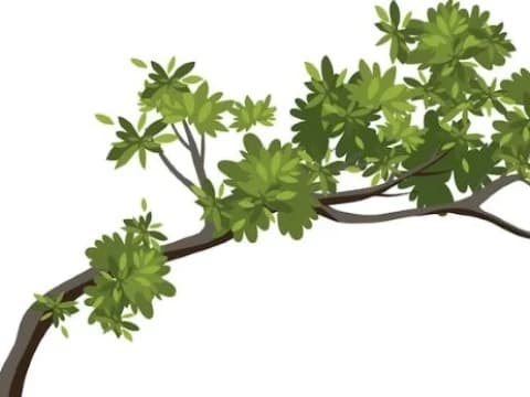 Kerinduan Sebatang Pohon