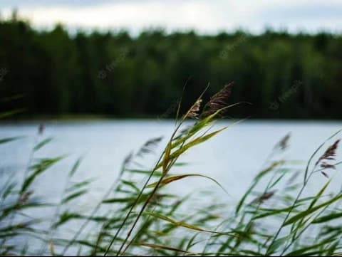 Meninggal Karena Tenggelam Apakah Mendapat Derajat Mati Syahid?