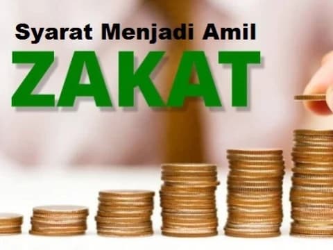 Pembagian dan Syarat Menjadi Seorang Amil Zakat