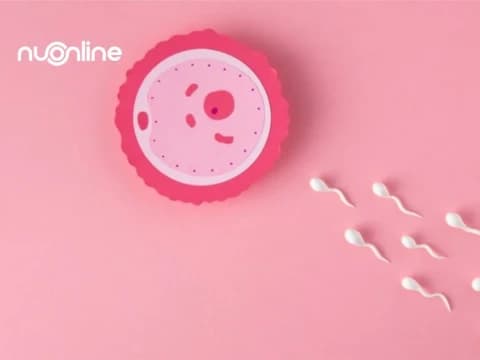 Tafsir Surat Al-Insan Ayat 2: Penciptaan Manusia dari Setetes Mani