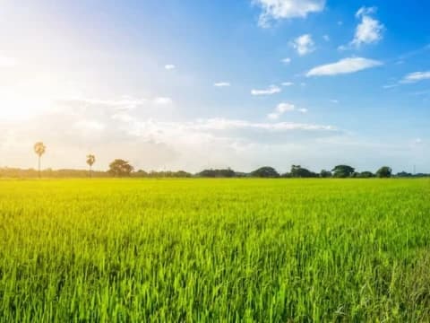 Pandangan NU pada Konflik Agraria Rakyat dengan Pemerintah