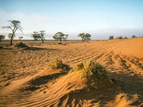 Ketika Rasulullah Anulir Kepemilikan Lahan Pribadi untuk Kepentingan Umat