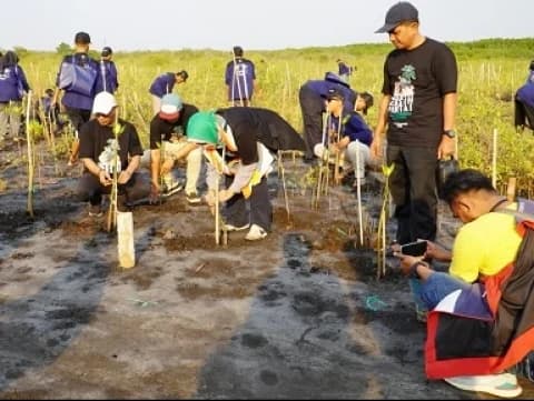 Hari Santri 2023, PBNU Tanam Ribuan Mangrove di Pantai Permata Kota Probolinggo