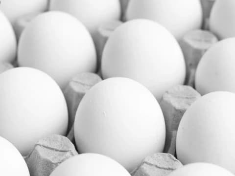 Hukum Makan Balut dalam Islam: Halal atau Haram? Ini Penjelasan Lengkap Ulama