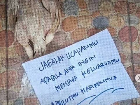 Kritik Penanganan Bencana Sumatra, Aktivis dan Influencer Alami Teror Bangkai Ayam hingga Bom Molotov