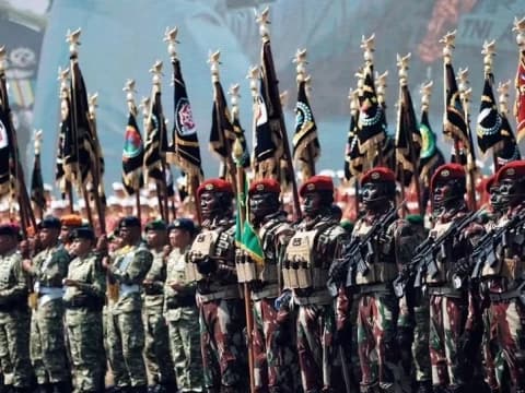 Guru Besar HTN Paparkan Alasan Militer Harus Profesional dalam Sistem Demokrasi