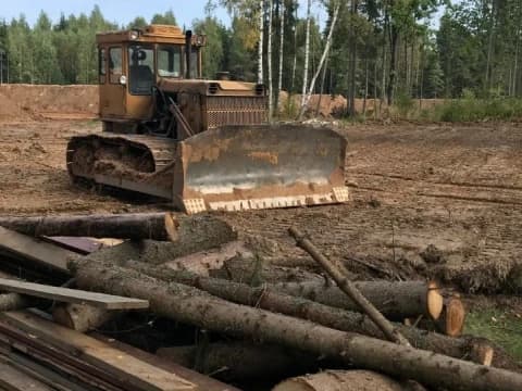 Bolehkah Memanfaatkan Kayu Gelondongan yang Tersebar ke Pemukiman pasca-Banjir?