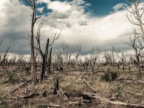 Musibah Tak Selalu Azab: Ini Ragam Musibah dalam Al-Qur’an
