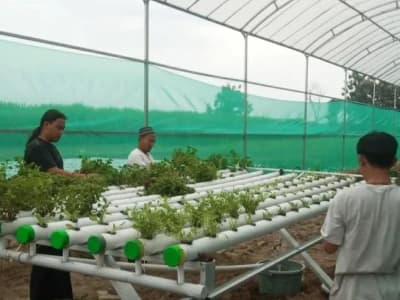 Lulusan Pesantren Bingung Pekerjaan? Jangan Takut, Ini Solusinya