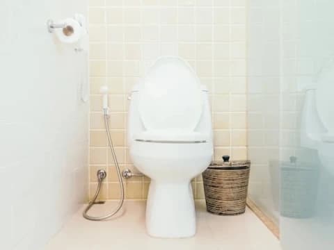 Webinar Kesucian Wanita Muslimat NU Bahas Manfaat Istinja untuk Kesehatan