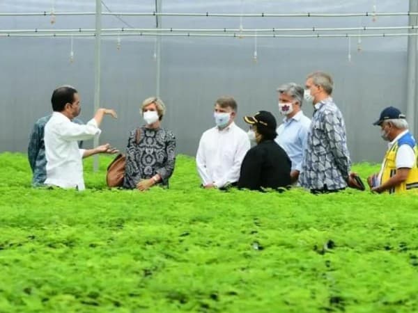 Tinjau Persemaian Rumpin, Presiden Jokowi: Indonesia Serius Tangani Perubahan Iklim