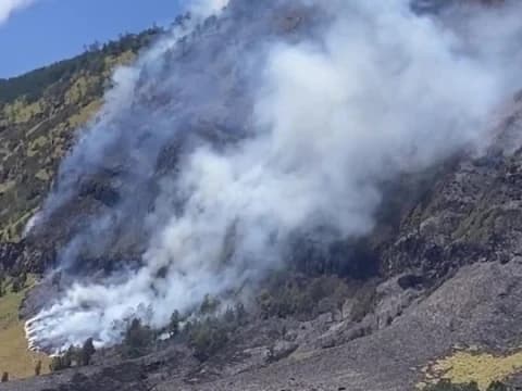 Savana Bromo Hangus Terbakar, LPBINU Sebut Akibat Kelalaian yang Merusak