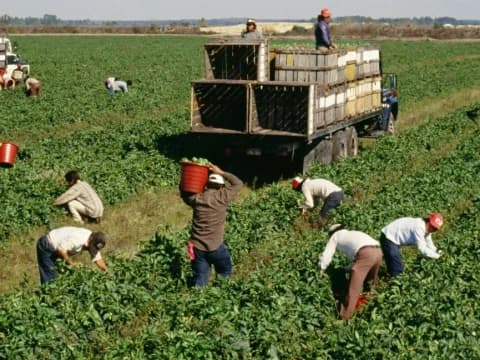 Khutbah Jumat: Rezeki Halal Adalah Kunci