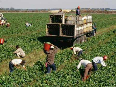 Refleksi Surah Al-Jumu’ah: Shalat Jumat dan Menjaga Porsi antara Urusan Dunia dan Akhirat