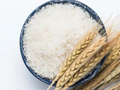 Masalah Zakat Fitrah via DKM: Legalitas Amil, Pencampuran Beras, dan Pembagiannya